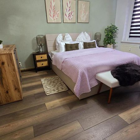 Cozy Pet-Friendly Apartment Meissen Luaran gambar